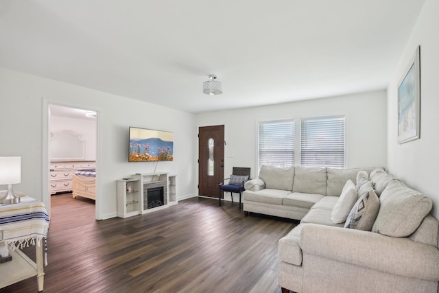 976 Long Beech Dr, Clarksville, TN 37042 - living area with dark wood finished floors and a fireplace