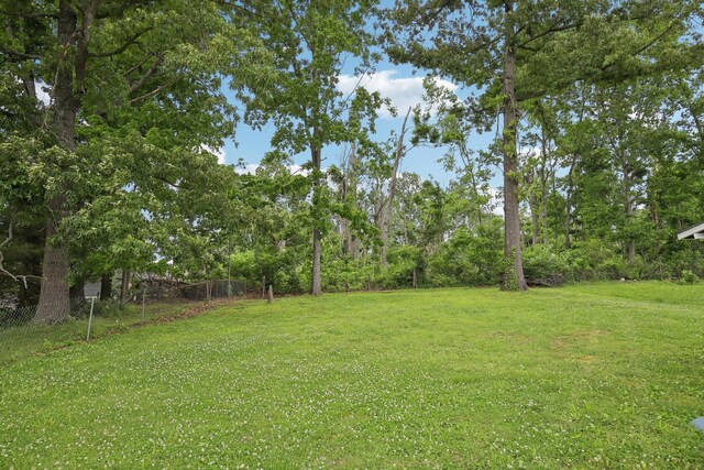 976 Long Beech Dr, Clarksville, TN 37042 - view of yard
