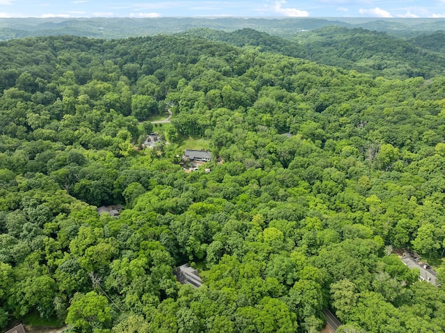 1130 Crater Hill Dr, Nashville, TN 37215 - drone / aerial view of a forest