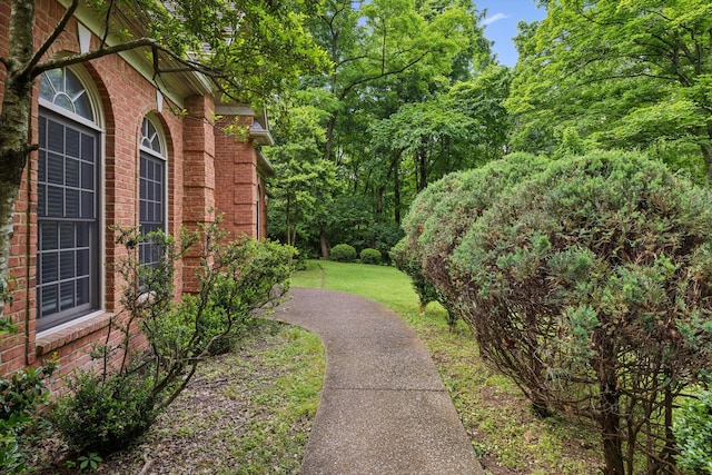 1130 Crater Hill Dr, Nashville, TN 37215 - view of green lawn