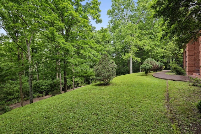 1130 Crater Hill Dr, Nashville, TN 37215 - view of green lawn
