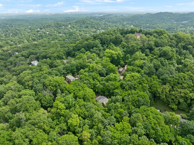 1130 Crater Hill Dr, Nashville, TN 37215 - bird's eye view of a forest