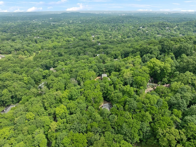 1130 Crater Hill Dr, Nashville, TN 37215 - drone / aerial view of a forest