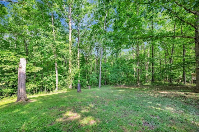 2290 Petway Rd, Ashland City, TN 37015 - view of green lawn with a wooded view