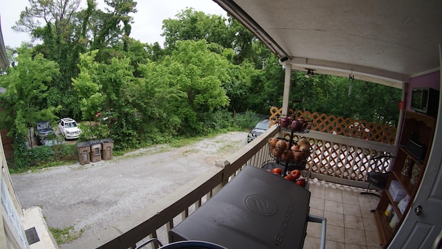 438 Tampa Dr, Nashville, TN 37211 - view of balcony