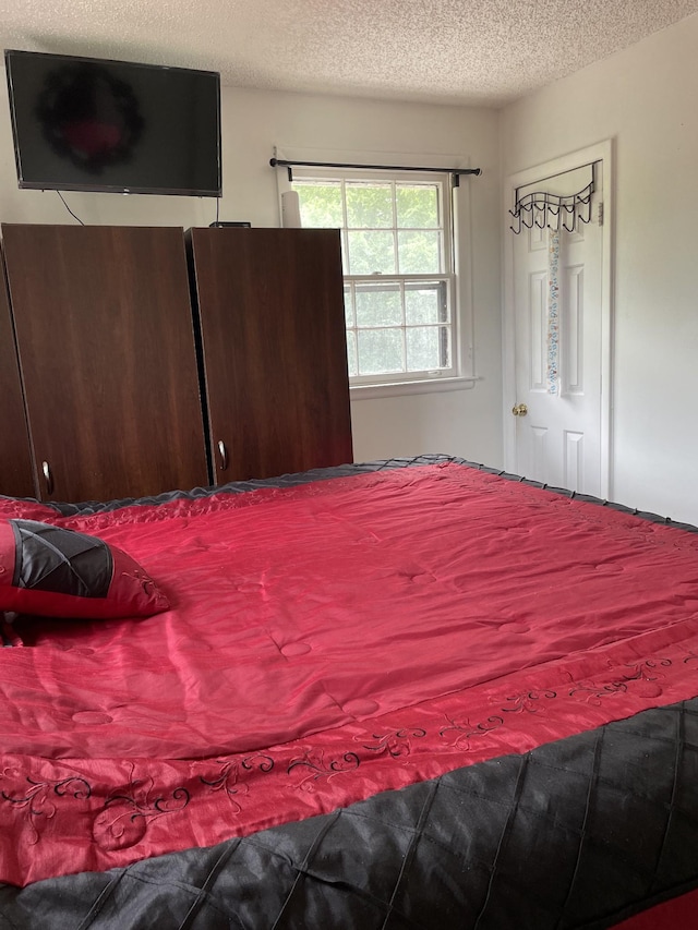 438 Tampa Dr, Nashville, TN 37211 - bedroom with a textured ceiling