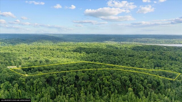 0 Rustic Valley Dr, Waverly, TN 37185