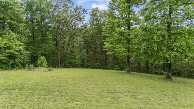 0 Rustic Valley Dr, Waverly, TN 37185