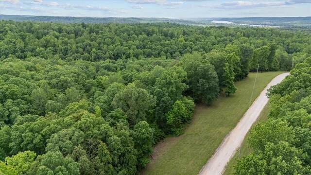 0 Rustic Valley Dr, Waverly, TN 37185