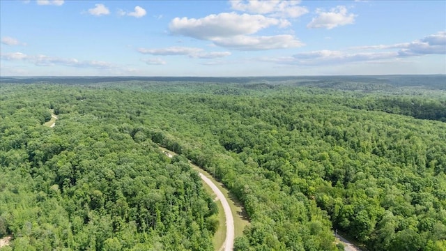 0 Rustic Valley Dr, Waverly, TN 37185