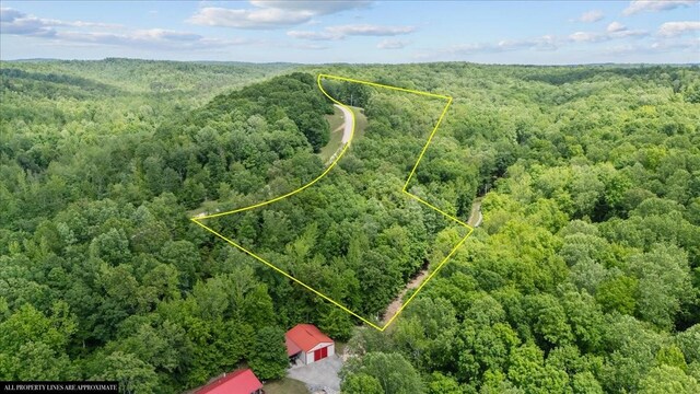 0 Rustic Valley Dr, Waverly, TN 37185