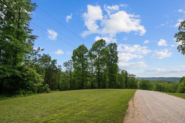 0 Rustic Valley Dr, Waverly, TN 37185