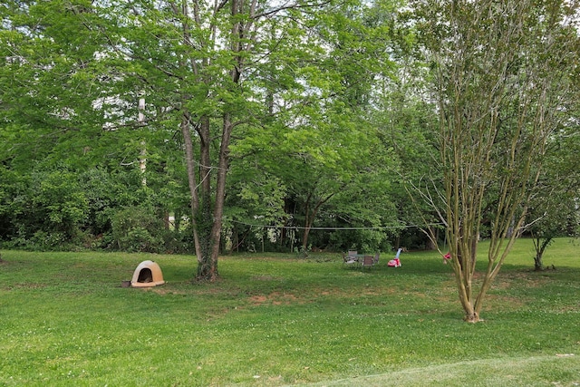 36 Hillcrest Dr, Sparta, TN 38583 - view of green lawn