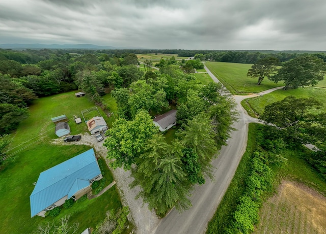 1689 Pleasant Ridge Rd, Huntland, TN 37345 - aerial view of sparsely populated area