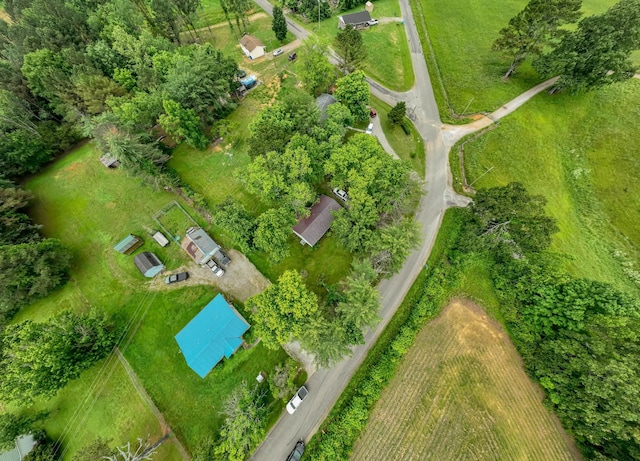 1689 Pleasant Ridge Rd, Huntland, TN 37345 - aerial view of property and surrounding area with rural landscape
