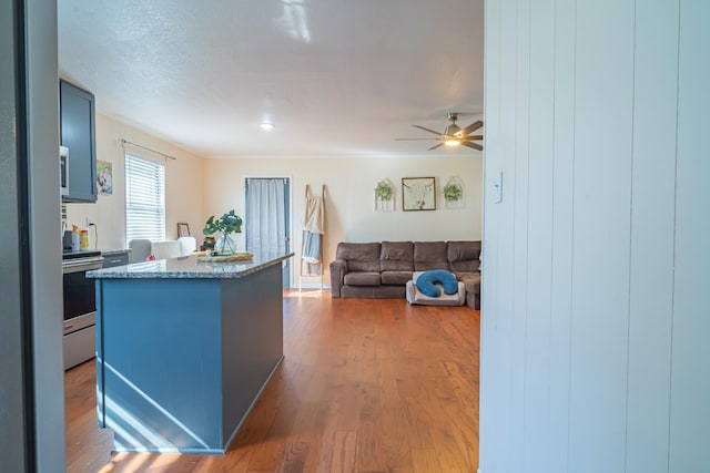 1689 Pleasant Ridge Rd, Huntland, TN 37345 - kitchen featuring stainless steel range with electric cooktop, a kitchen island, wood finished floors, and ceiling fan