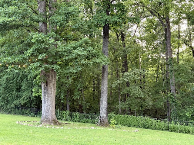 1002 Bradby Dr, Burns, TN 37029 - view of yard with a wooded view