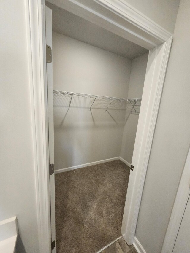 4417 Maxwell Rd, Antioch, TN 37013 - walk in closet with carpet floors