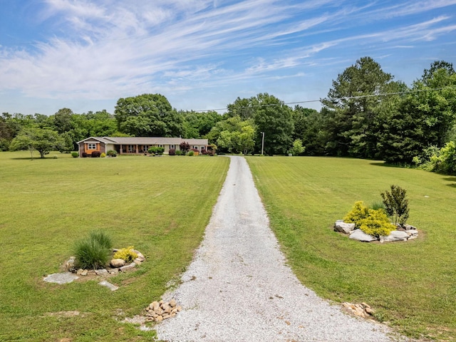 view of front facade featuring driveway and a front yard