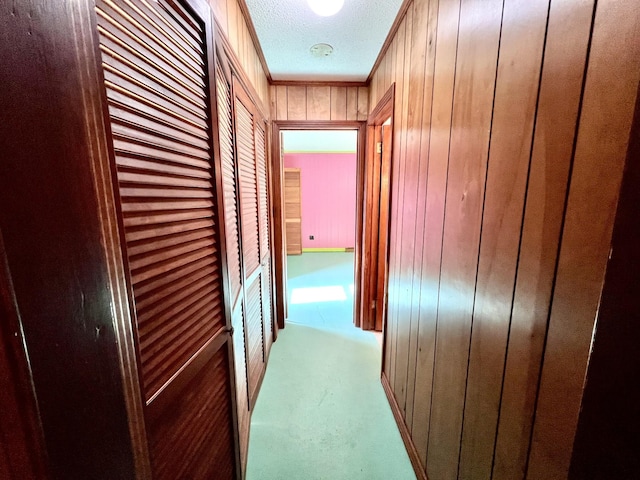 565 E College St, Pulaski, TN 38478 - hallway with wood walls
