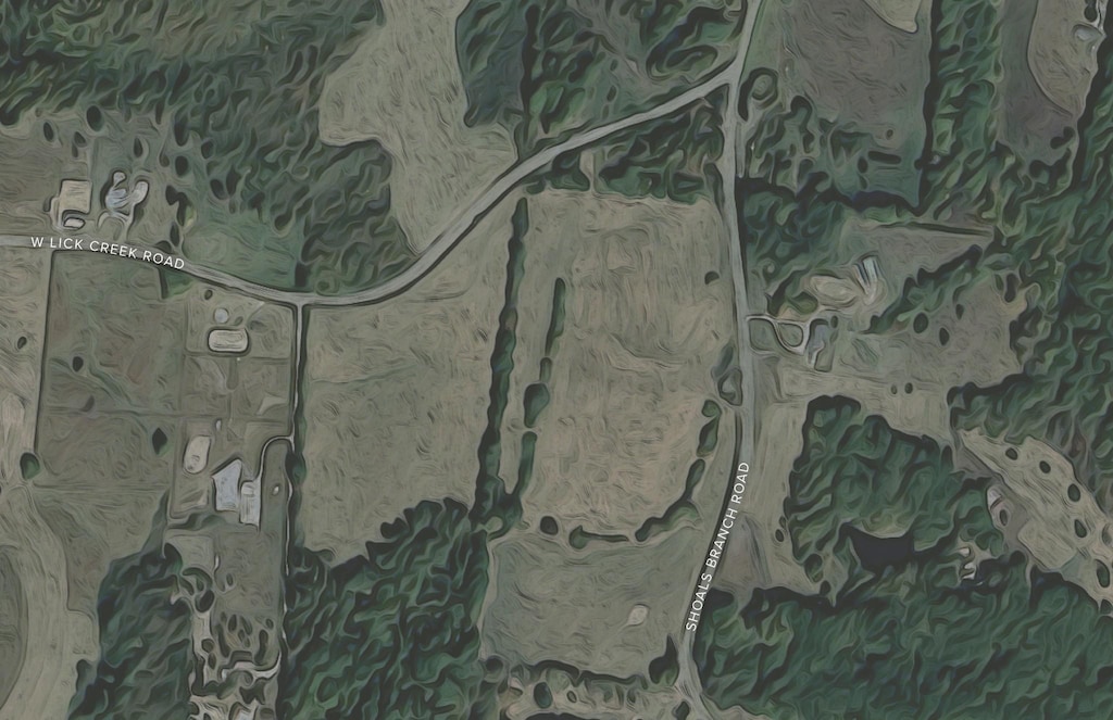 0 Shoals Branch Rd, Primm Springs, TN 38476