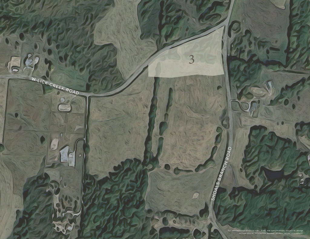 0 Shoals Branch Rd, Primm Springs, TN 38476