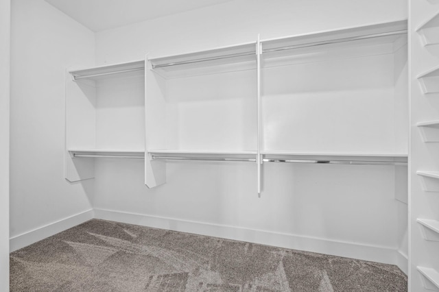 196 Knoxleigh Way, Murfreesboro, TN 37129 - walk in closet featuring carpet floors