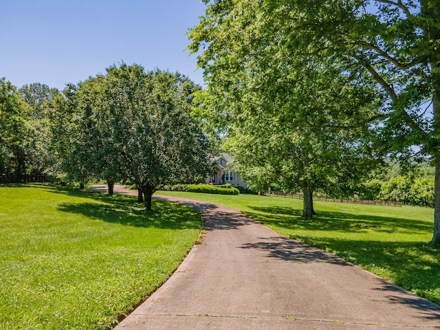 4095 Indian Hills Rd, Columbia, TN 38401 - view of property's community featuring a yard
