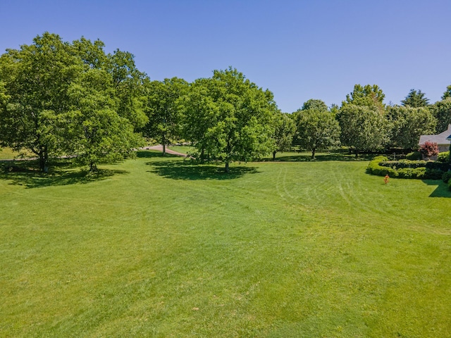 4095 Indian Hills Rd, Columbia, TN 38401 - view of green lawn