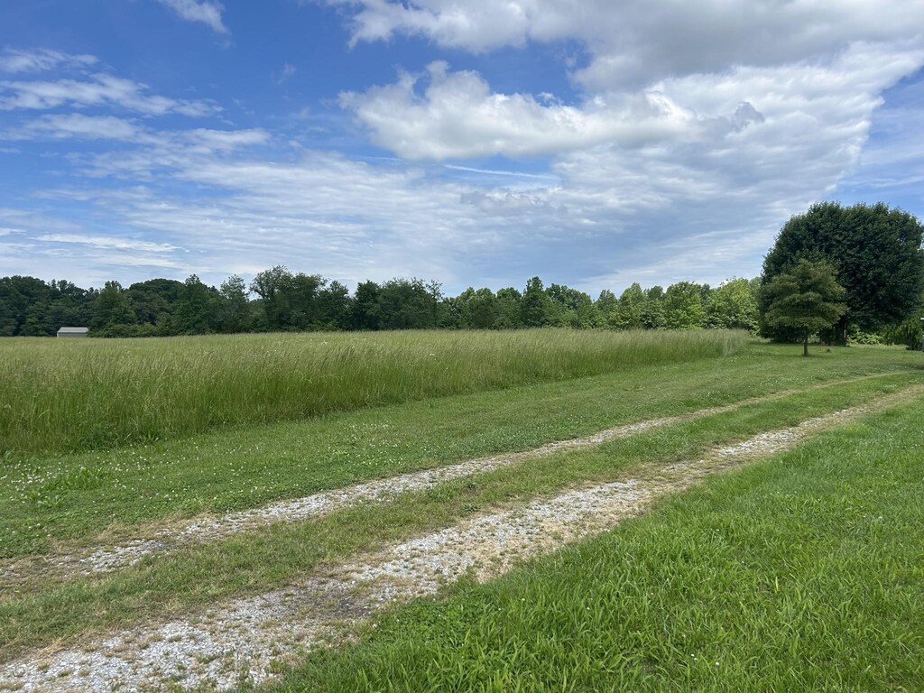 236 Beartown Rd, Loretto, TN 38469 - view of road featuring a view of countryside