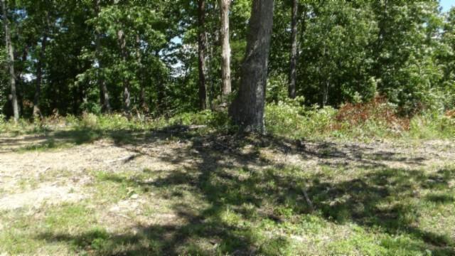 46 Billy Westmoreland Rd, Celina, TN 38551