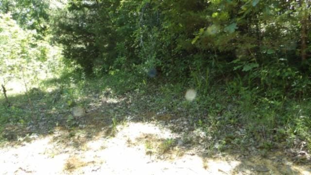 46 Billy Westmoreland Rd, Celina, TN 38551