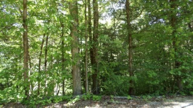 46 Billy Westmoreland Rd, Celina, TN 38551