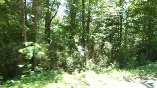46 Billy Westmoreland Rd, Celina, TN 38551
