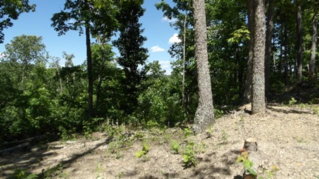 46 Billy Westmoreland Rd, Celina, TN 38551