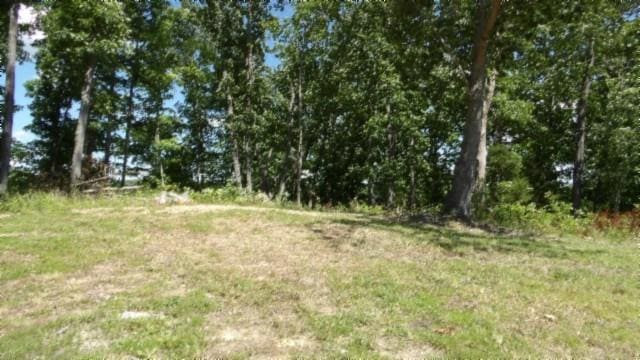 46 Billy Westmoreland Rd, Celina, TN 38551