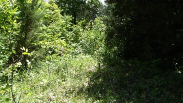 46 Billy Westmoreland Rd, Celina, TN 38551