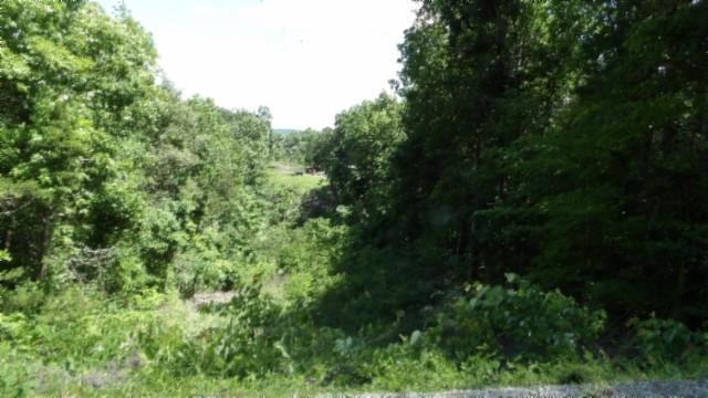 46 Billy Westmoreland Rd, Celina, TN 38551