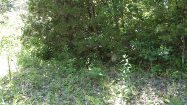 46 Billy Westmoreland Rd, Celina, TN 38551