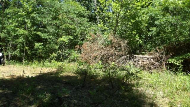 46 Billy Westmoreland Rd, Celina, TN 38551