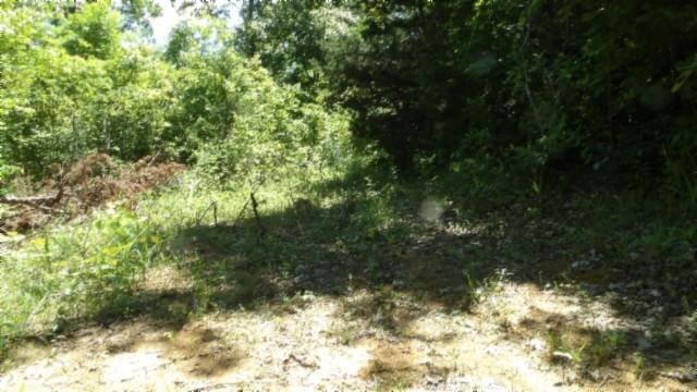 46 Billy Westmoreland Rd, Celina, TN 38551