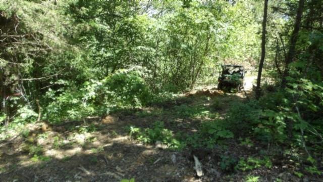 46 Billy Westmoreland Rd, Celina, TN 38551
