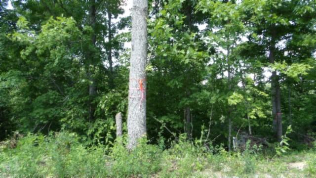 46 Billy Westmoreland Rd, Celina, TN 38551