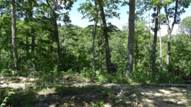 46 Billy Westmoreland Rd, Celina, TN 38551