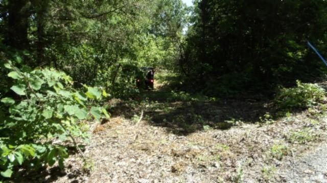 46 Billy Westmoreland Rd, Celina, TN 38551