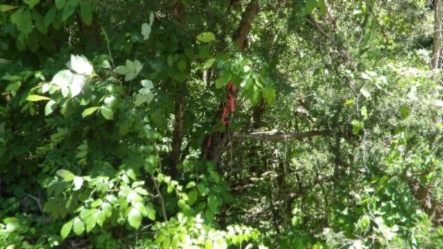 46 Billy Westmoreland Rd, Celina, TN 38551