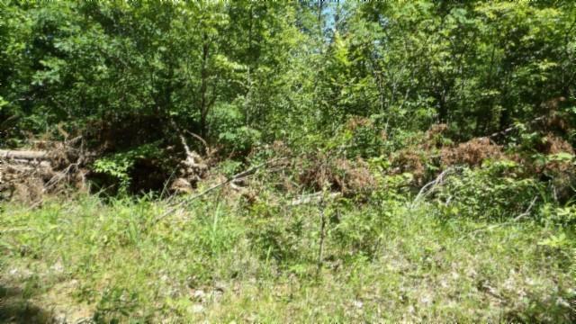 46 Billy Westmoreland Rd, Celina, TN 38551