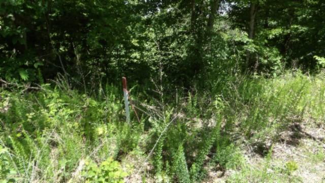 46 Billy Westmoreland Rd, Celina, TN 38551