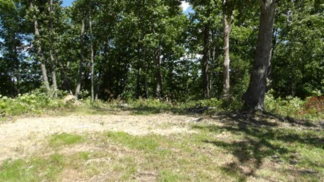 46 Billy Westmoreland Rd, Celina, TN 38551