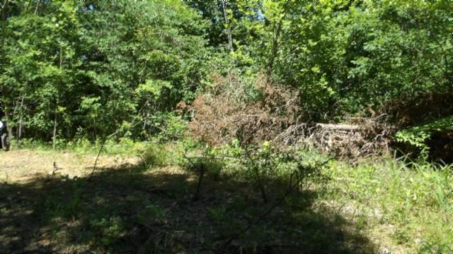 46 Billy Westmoreland Rd, Celina, TN 38551